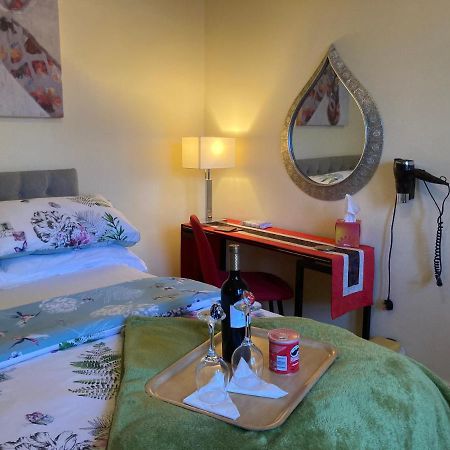 Mountroyal Victorian Studio Self Catering Apartment 3 Belfast Kültér fotó