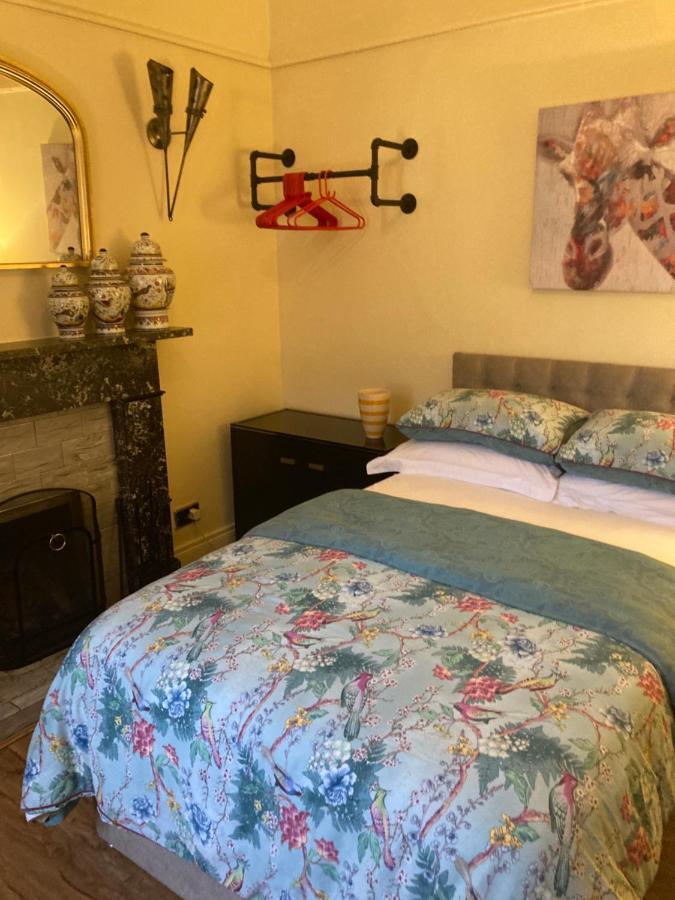 Mountroyal Victorian Studio Self Catering Apartment 3 Belfast Kültér fotó