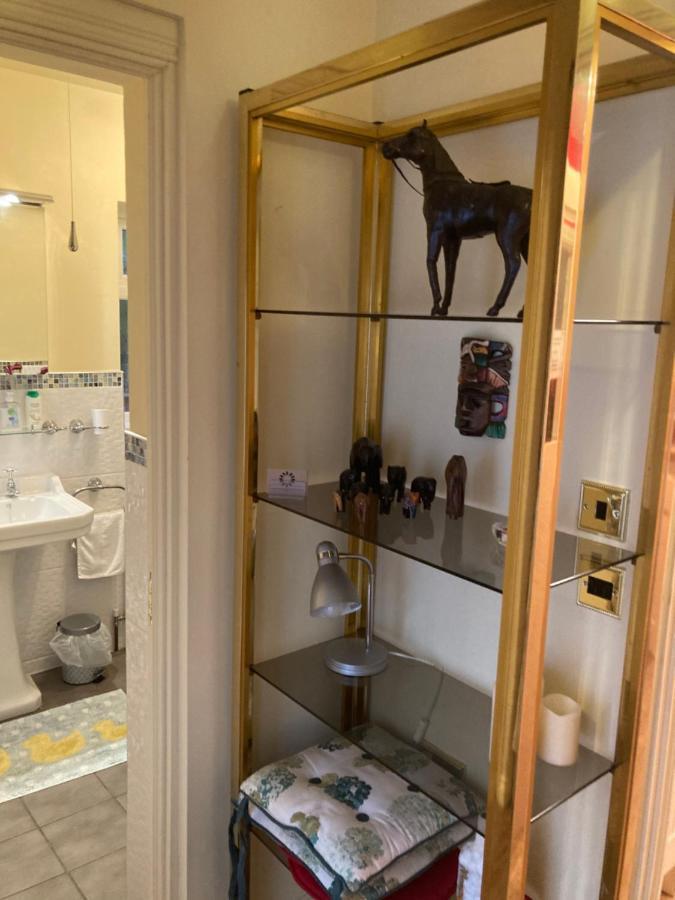 Mountroyal Victorian Studio Self Catering Apartment 3 Belfast Kültér fotó