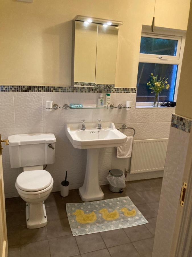 Mountroyal Victorian Studio Self Catering Apartment 3 Belfast Kültér fotó