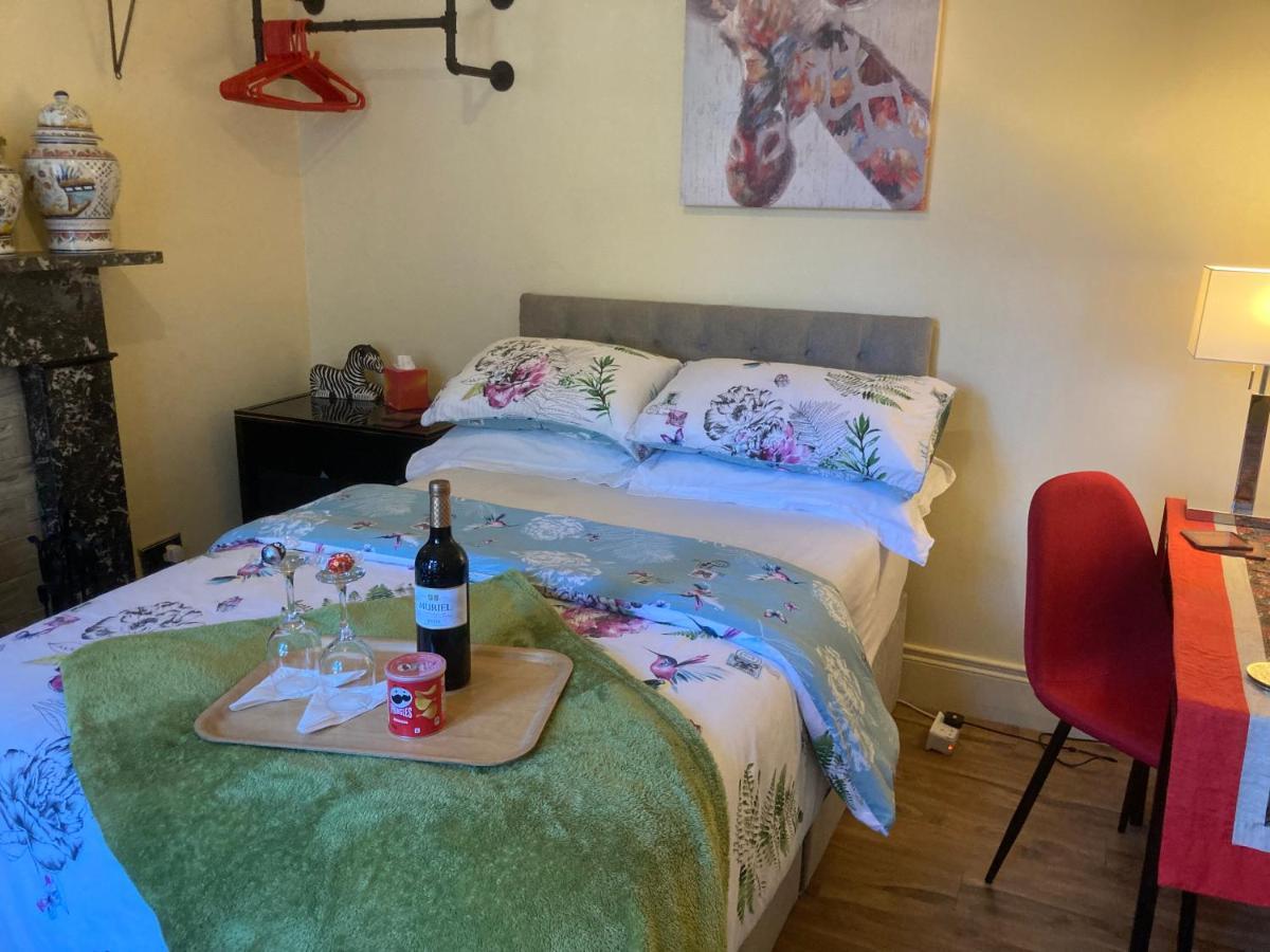 Mountroyal Victorian Studio Self Catering Apartment 3 Belfast Kültér fotó