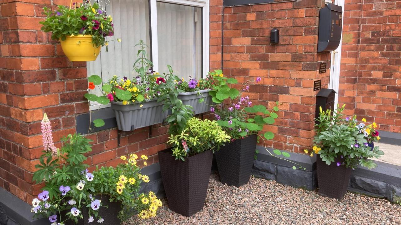 Mountroyal Victorian Studio Self Catering Apartment 3 Belfast Kültér fotó
