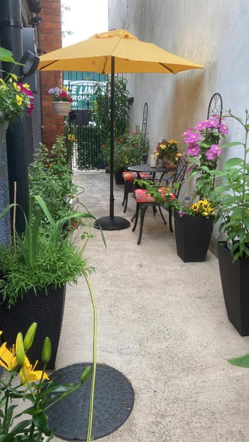 Mountroyal Victorian Studio Self Catering Apartment 3 Belfast Kültér fotó